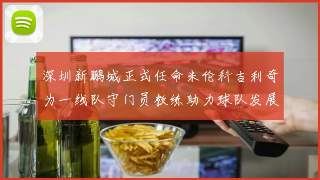深圳新鹏城正式任命米伦科吉利奇为一线队守门员教练助力球队发展
