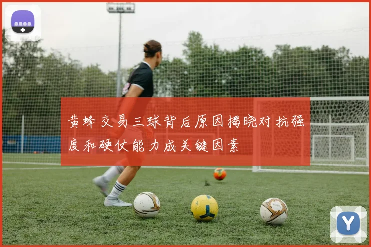 黄蜂交易三球背后原因揭晓对抗强度和硬仗能力成关键因素