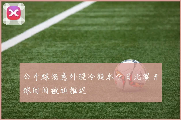 公牛球场意外现冷凝水今日比赛开球时间被迫推迟